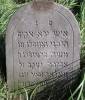 "Here lies a God-fearing man, the prominent scholar our teacher R. Moshe son of the prominent scholar our teacher R. Abraham Jakob of blessed memory Walach.  He died Thursday 27th Nisan 5654 according to the abbreviated era.  May his soul be bound in the bond of everlasting life."  (szpekh@cwu.edu)